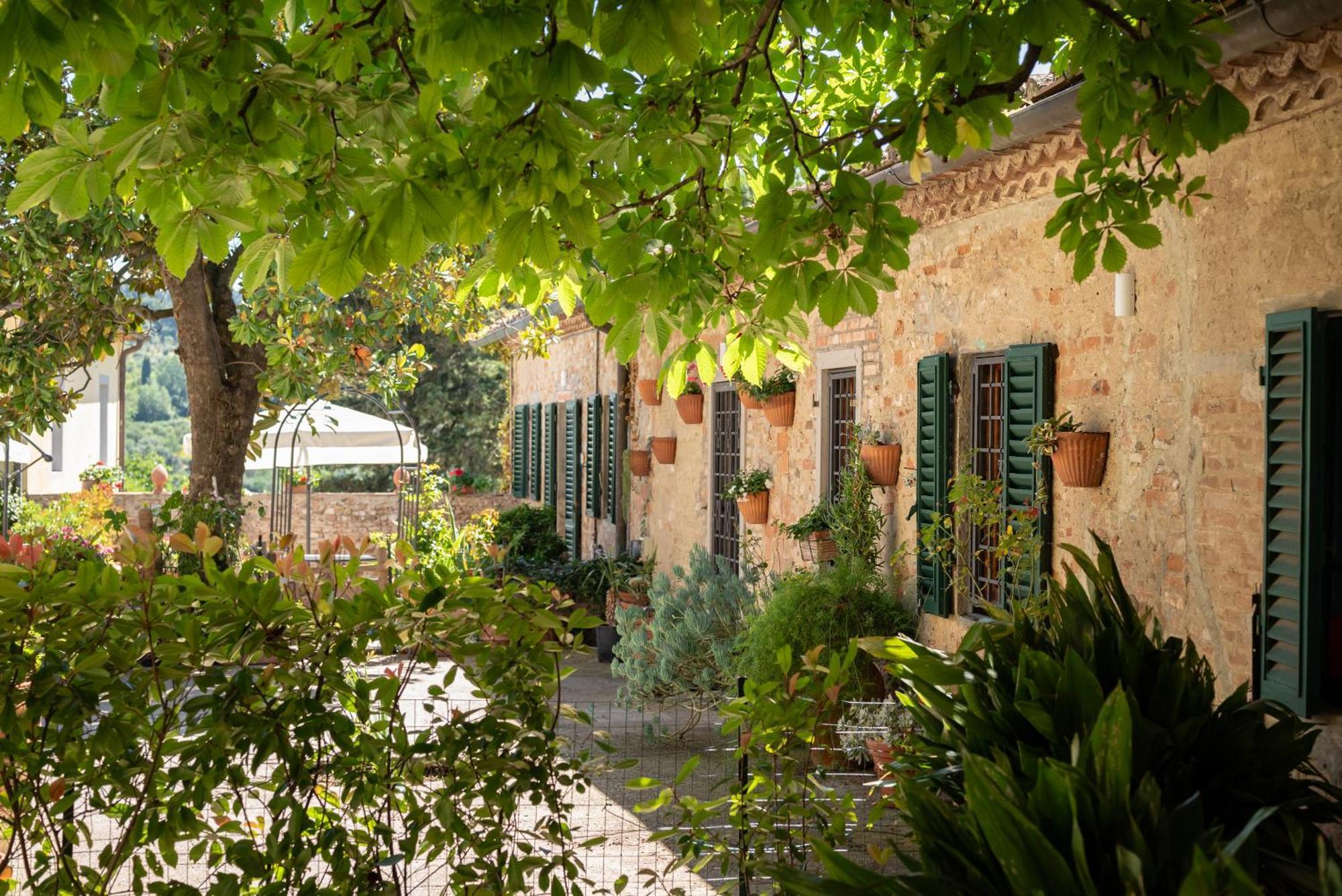 Agriturismo Bio Fattoria Bacio Чертальдо Экстерьер фото